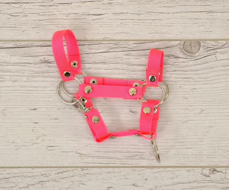 Kantar Dla Konia Hobby Horse Uniwersalny Zapinany Neon Pink TUM-TUM