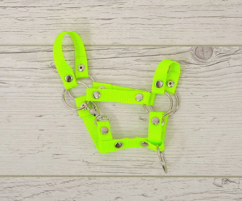 Kantar Dla Konia Hobby Horse Uniwersalny Zapinany Neon Green TUM-TUM