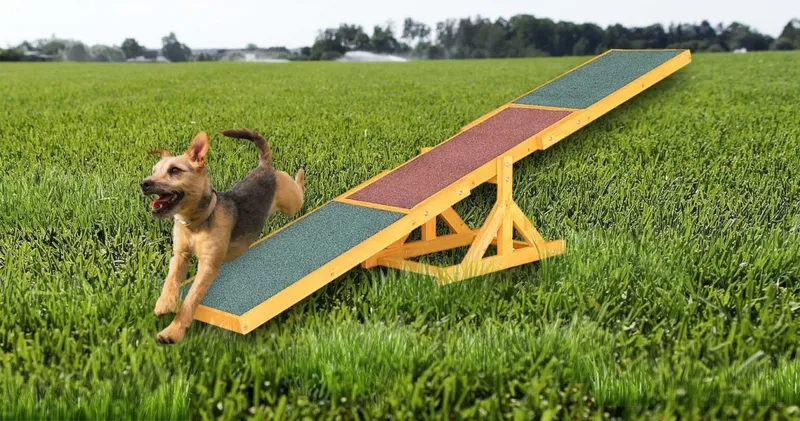 Równoważnia Huśtawka Agility Dla Psa Antypoślizgowa Drewniana ZOOJOY 180 cm