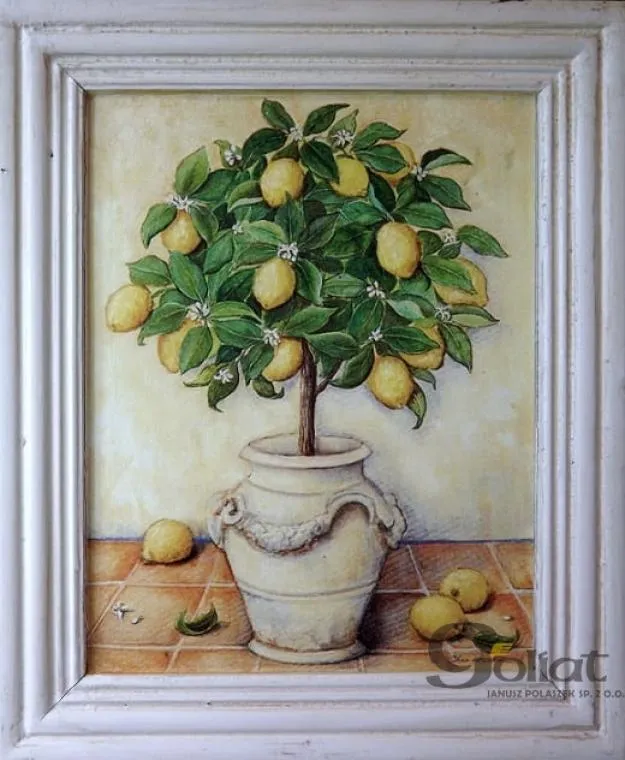 Obraz Drzewo Cytrusowe (Pomarańcza) 25x38 cm