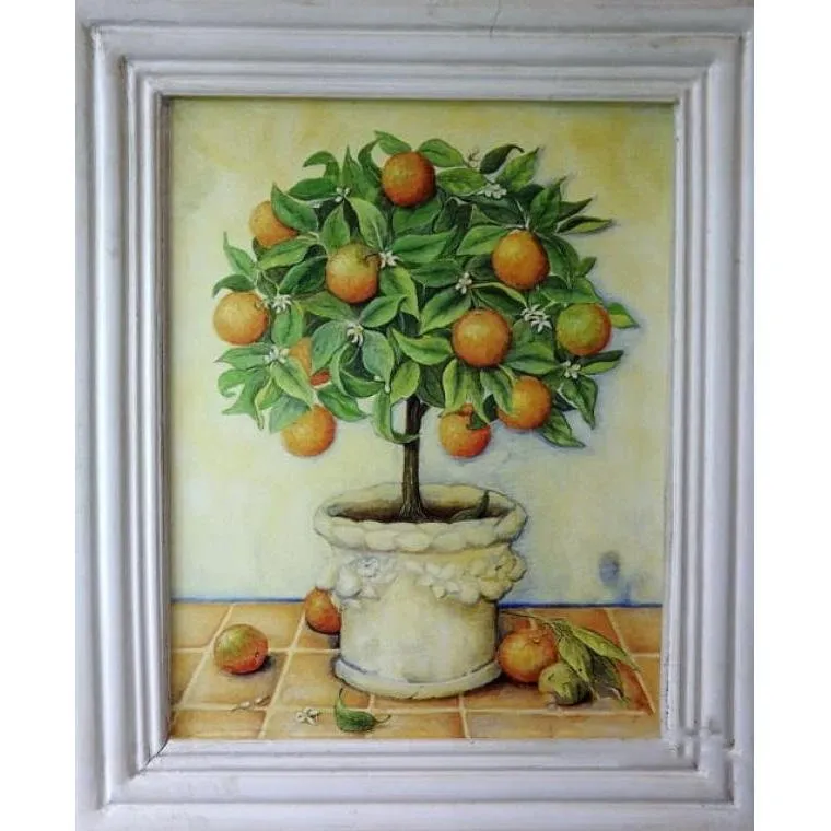 Obraz Drzewo Cytrusowe (Pomarańcza) 25x38 cm
