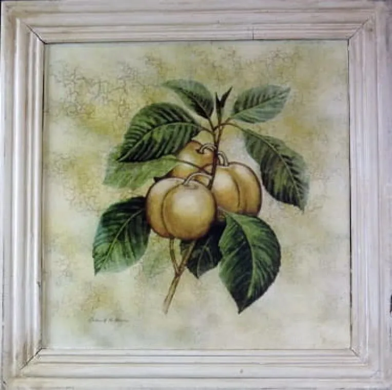 Obraz Owocowe Gałązki Efekt Starzenia 41x41 cm - Część Z Serii 4