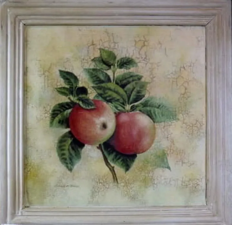 Obraz Z Serii Gałązki Owocowe - Jabłka, Efekt Postarzania 41x41cm