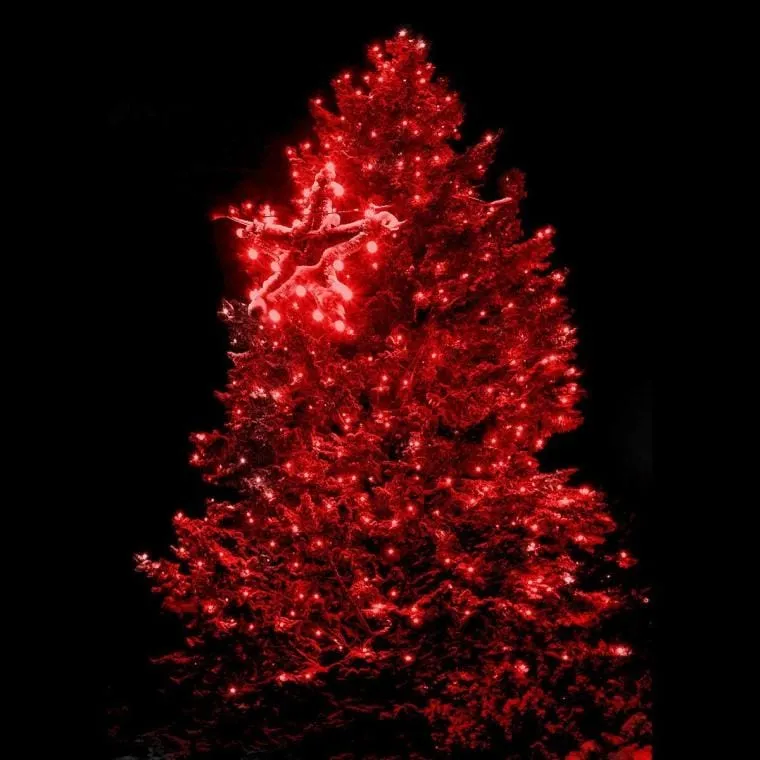 Lampki Choinkowe 25 LED Na Baterie - Czerwone
