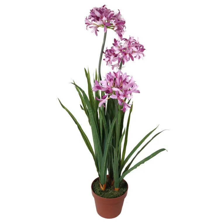 Dekoracyjny Czosnek W Doniczce O Wysokości 85 cm - Różowy