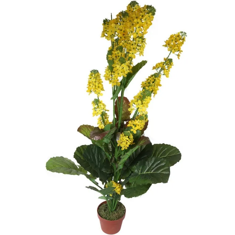Kwiat Rzepaku W Doniczce O Wysokości 130cm - Żółty