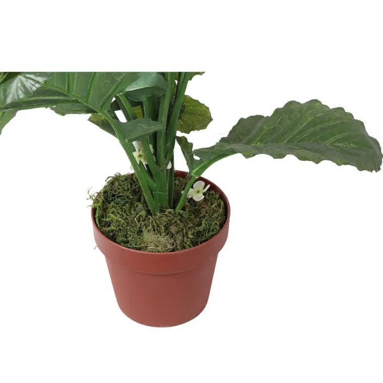 Kwiat Rzepaku W Doniczce O Wysokości 130 cm - Biały