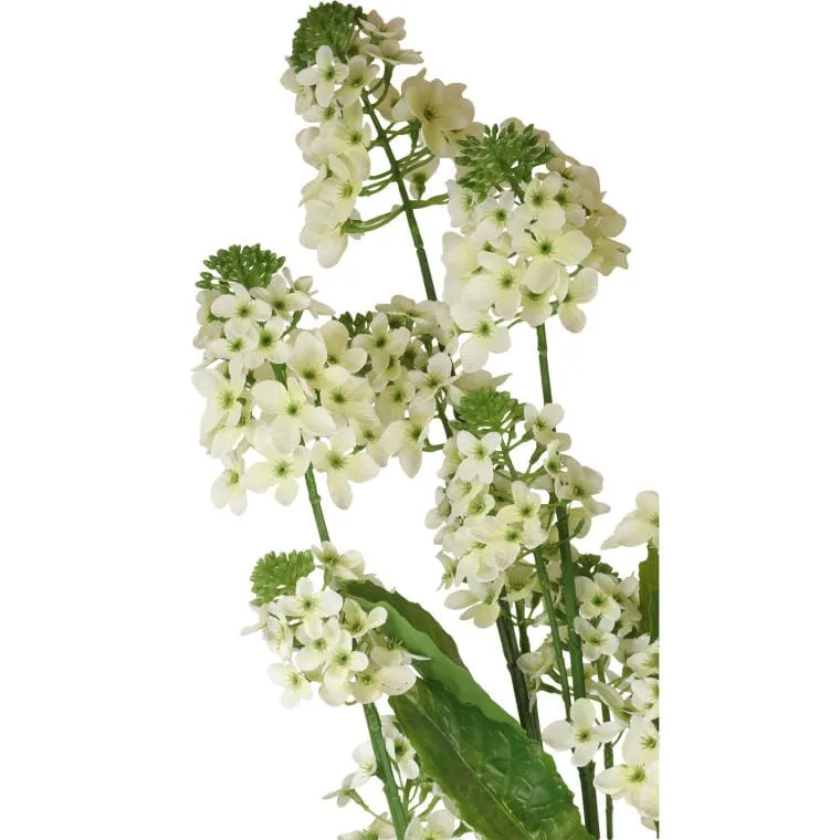 Kwiat Rzepaku W Doniczce O Wysokości 130 cm - Biały