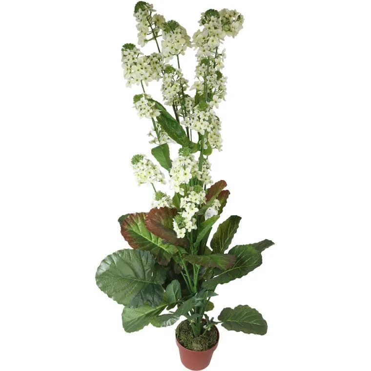Kwiat Rzepaku W Doniczce O Wysokości 130 cm - Biały