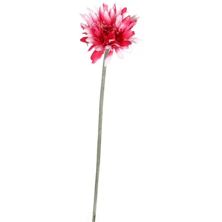 Gerbera Dekoracyjna Wysokiej Jakości W Kolorze Biało-Różowym, 55 cm