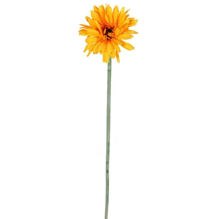 Gerbera Kwiat Pojedynczy Kolor Jasno - Pomarańczowy