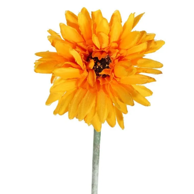 Gerbera Kwiat Pojedynczy Kolor Jasno - Pomarańczowy
