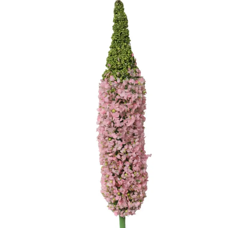 Gałązka Z Sztucznym Kwiatem Czosnku Jasnoróżowego O Wysokości 110 cm