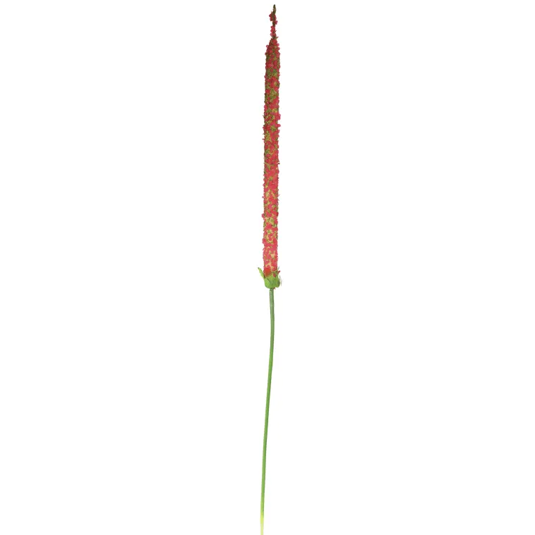 Sztuczny Kwiat - Gałązka Czosnku W Spiralnym Kształcie, Kolor Ciemny Róż, Długość 110cm
