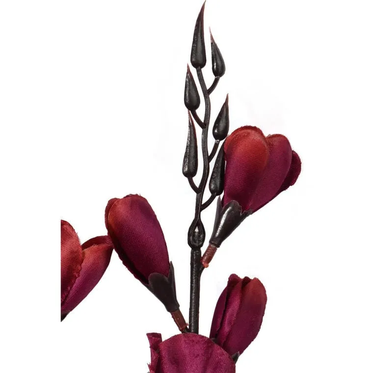 Bukiet 5 Gladioli Bordowych