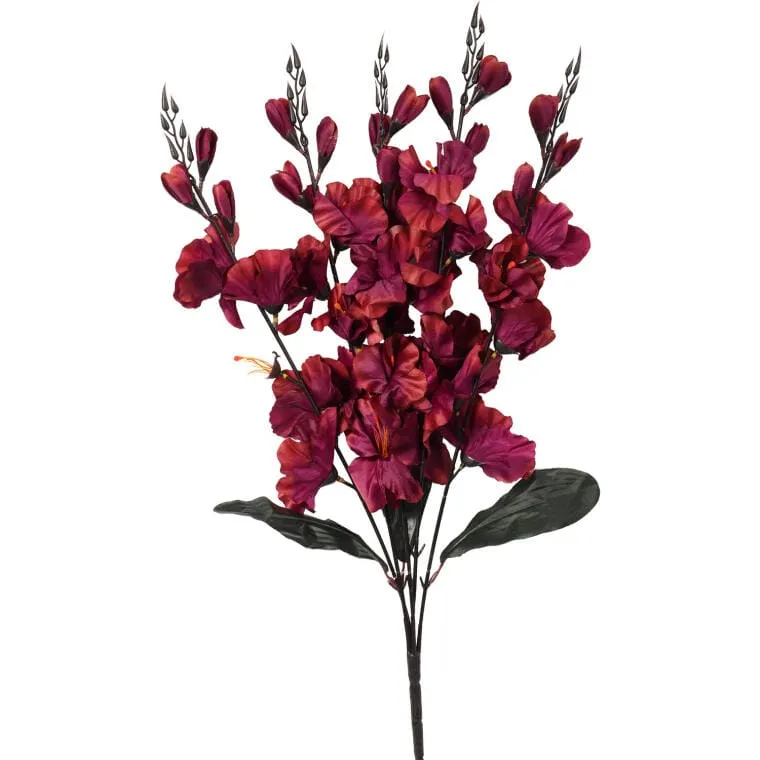 Bukiet 5 Gladioli Bordowych