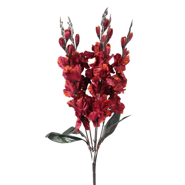 Bukiet 5 Gladioli Borodowo Żółtych