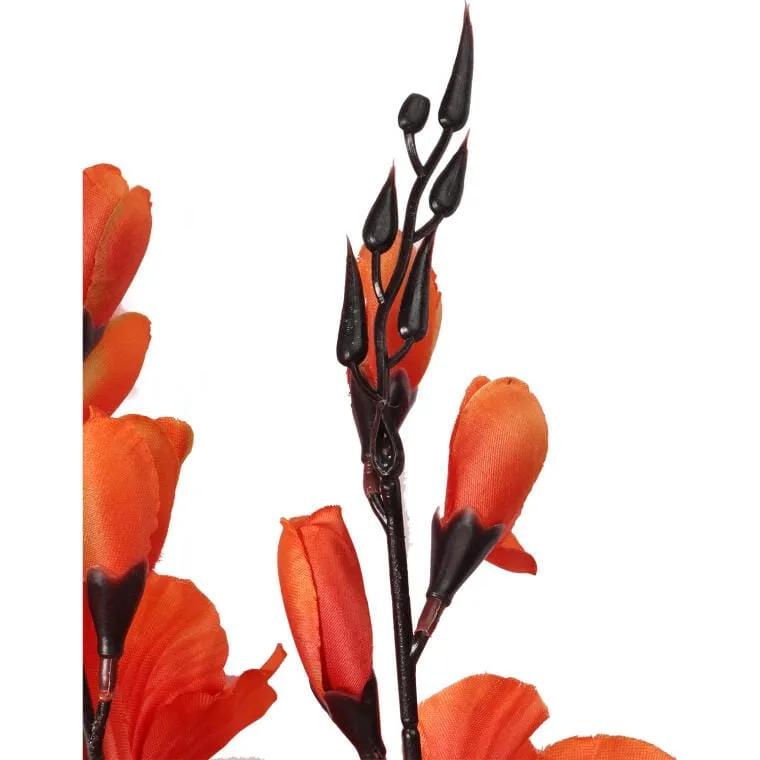 Bukiet 5 Gladioli Pomarańczowych
