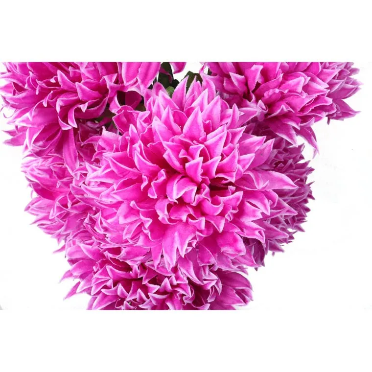 Bukiet 7 Dużych Chryzantem W Kolorze Fioletowym 64 cm