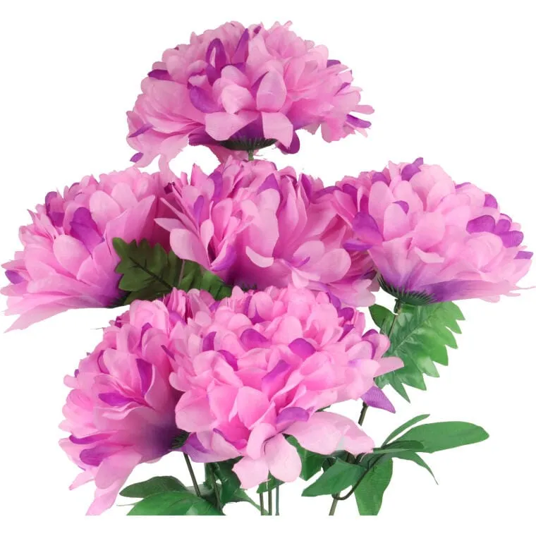 Bukiet 6 Chryzantem Białych 72 cm Fioletowych