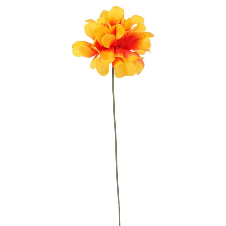 Chryzantema Pojedynka Bez Listka 35 cm - Pomarańczowa