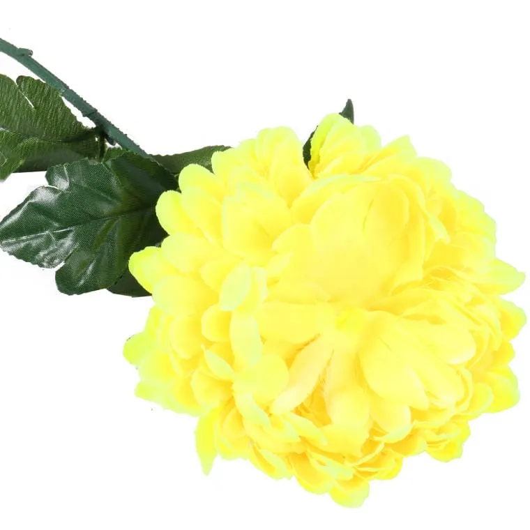 Chryzantema Pojedynczy Kwiat 70cm - Żółta