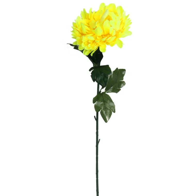 Chryzantema Pojedynczy Kwiat 70cm - Żółta