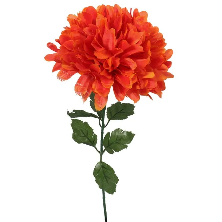 Chryzantema Pojedynczy Kwiat Fi 20 cm - Pomarańczowy