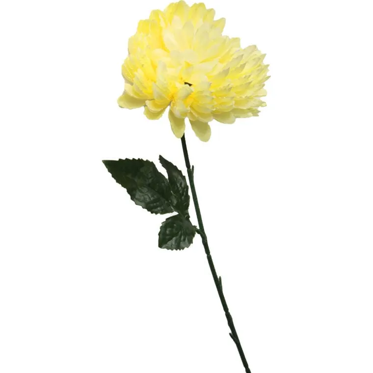 Chryzantema Pojedynczy Kwiat W Kolorze Jasnożółtym 78 cm