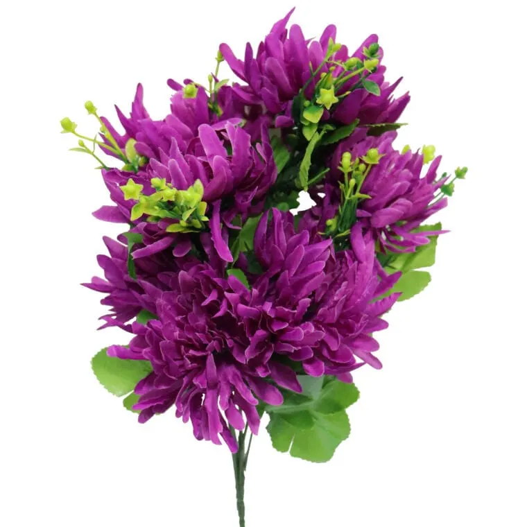 Bukiet Chryzantem Strzępiastych Fioletowych 35 cm Wysokość: 35 cm