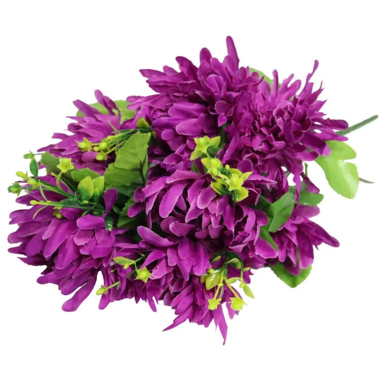 Bukiet Chryzantem Strzępiastych Fioletowych 35 cm Wysokość: 35 cm