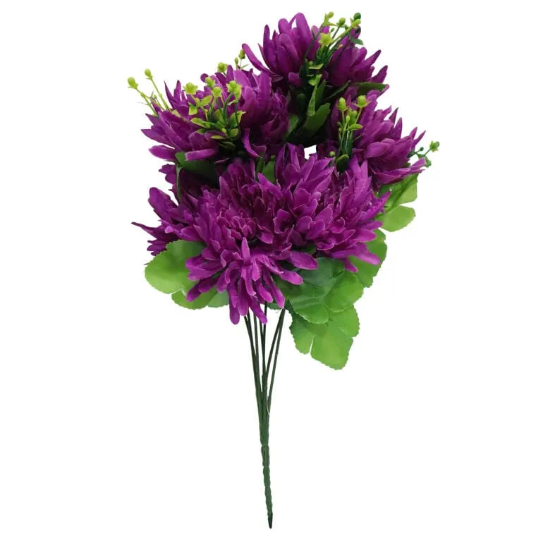 Bukiet Chryzantem Strzępiastych Fioletowych 35 cm Wysokość: 35 cm