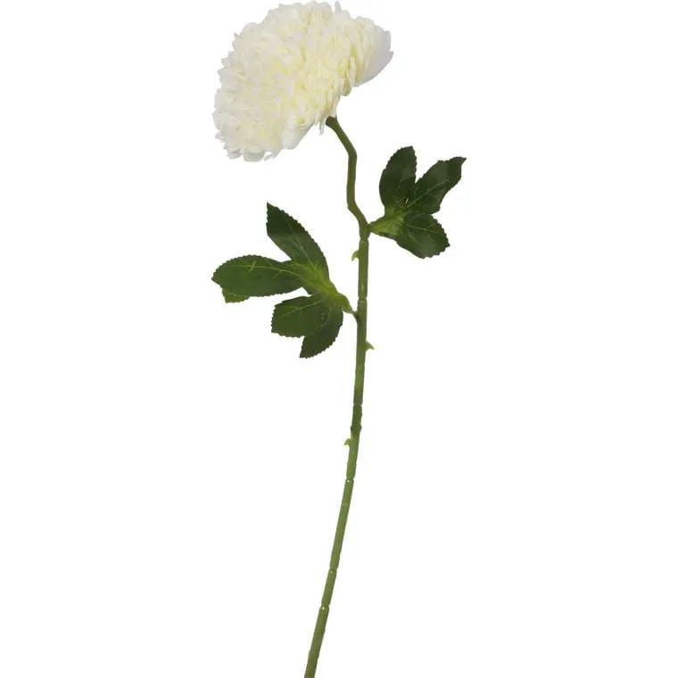 Biały Czosnek Dekoracyjny - Kwiat Pojedynczy, Długość 52 cm