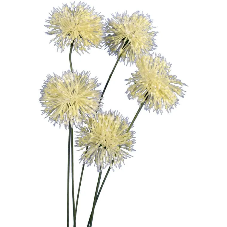 Gałązka Dekoracyjna Z 5 Sztucznymi Kwiatami Czosnku, Biała, 65 cm