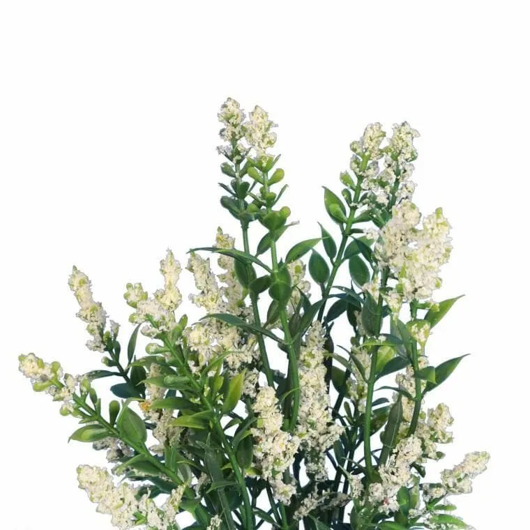 Bukiet 5 Gałązek Tawułki 28 cm Kolor - Kremowy