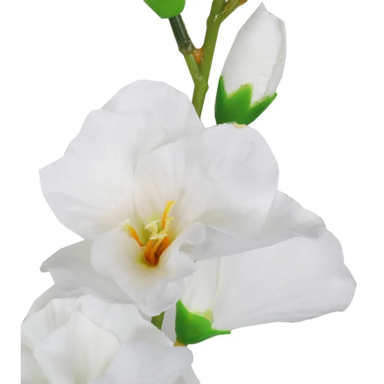 Pięć Białych Gladioli - Bukiet O Wysokości 60 cm