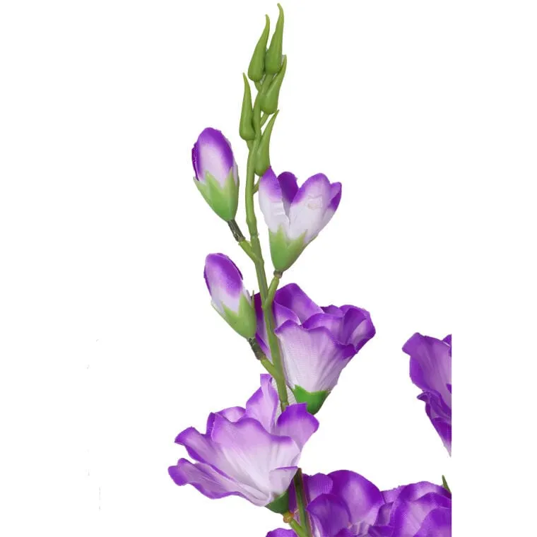 Bukiet 5 Fioletowych Gladioli O Wysokości 60 cm