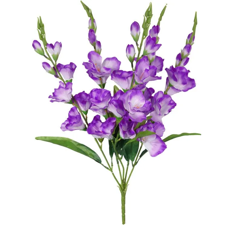 Bukiet 5 Fioletowych Gladioli O Wysokości 60 cm