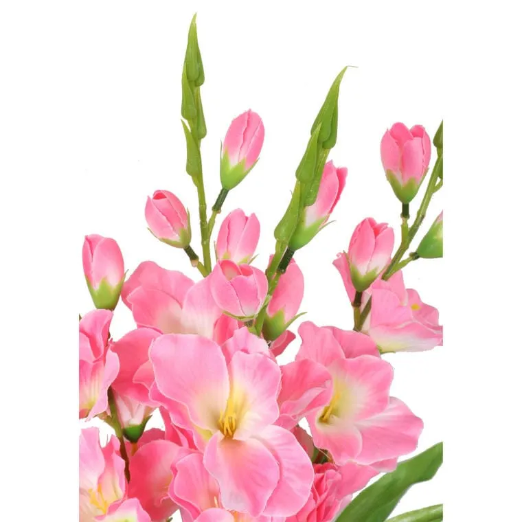 Bukiet 5 Jasno Różowych Gladioli