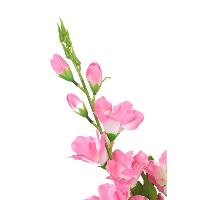 Bukiet 5 Jasno Różowych Gladioli
