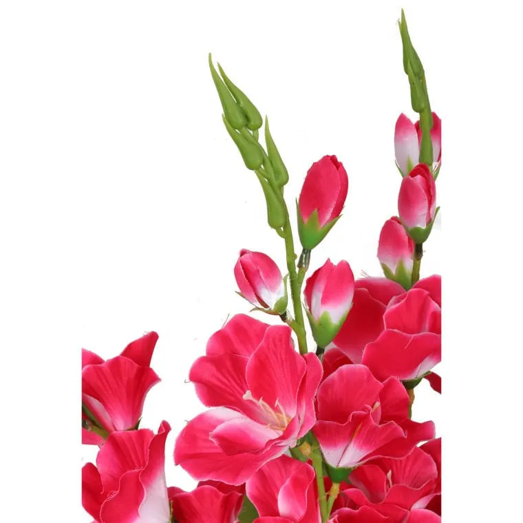 Bukiet 5 Różowo-Białych Gladioli O Wysokości 60 cm