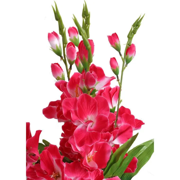 Bukiet 5 Różowo-Białych Gladioli O Wysokości 60 cm