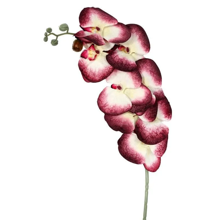 Storczyk Gałązka 90 cm Kolor - Bordowy