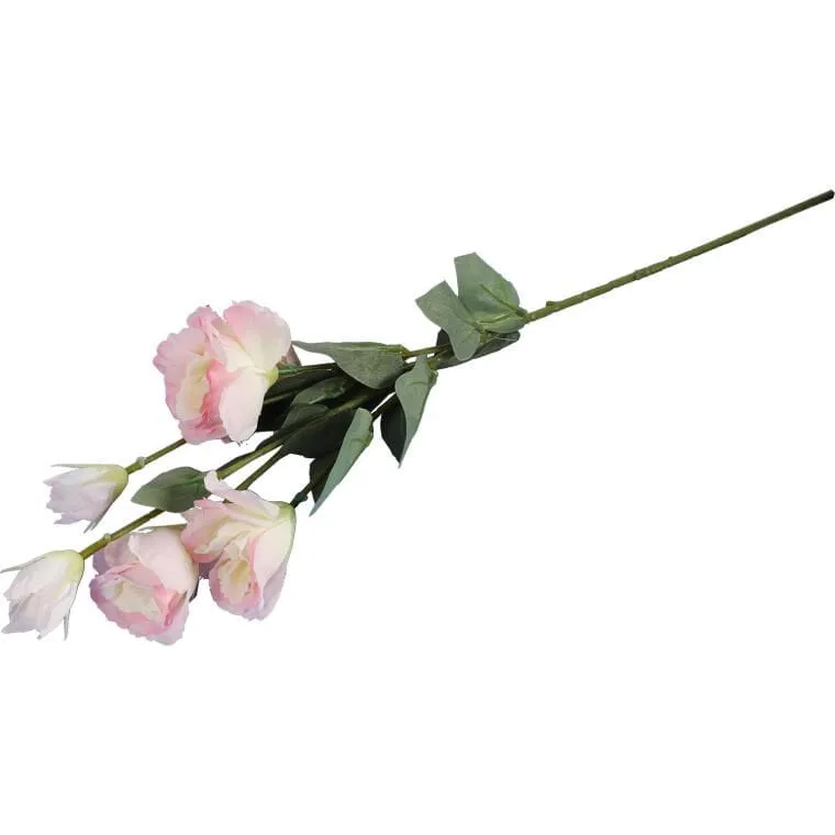 Eustoma - Kompozycja 6 Jasnoróżowych Kwiatów O Wysokości 80 cm