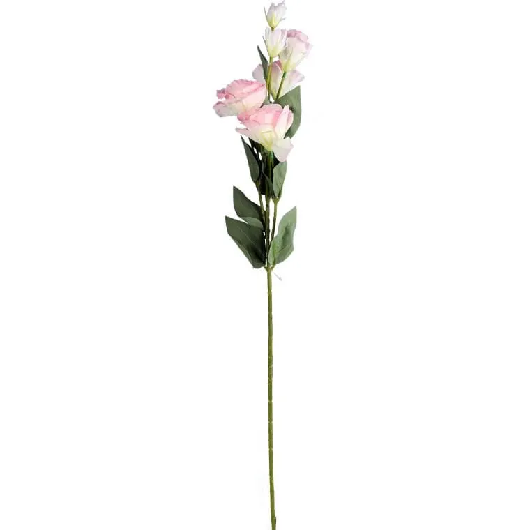 Eustoma - Kompozycja 6 Jasnoróżowych Kwiatów O Wysokości 80 cm