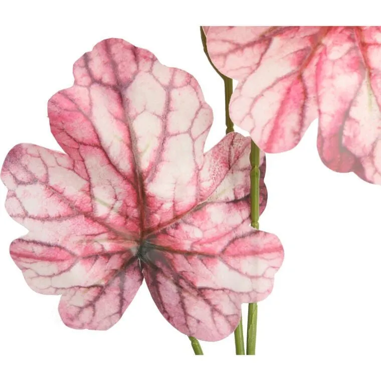 Caladium Gałązka Liści Ozdobnych 82 cm Kolor - Różowy