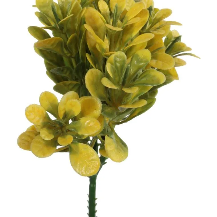 Bukszpan Dekoracyjny Wygląd Naturalny 19 cm - Żółto-Zielony