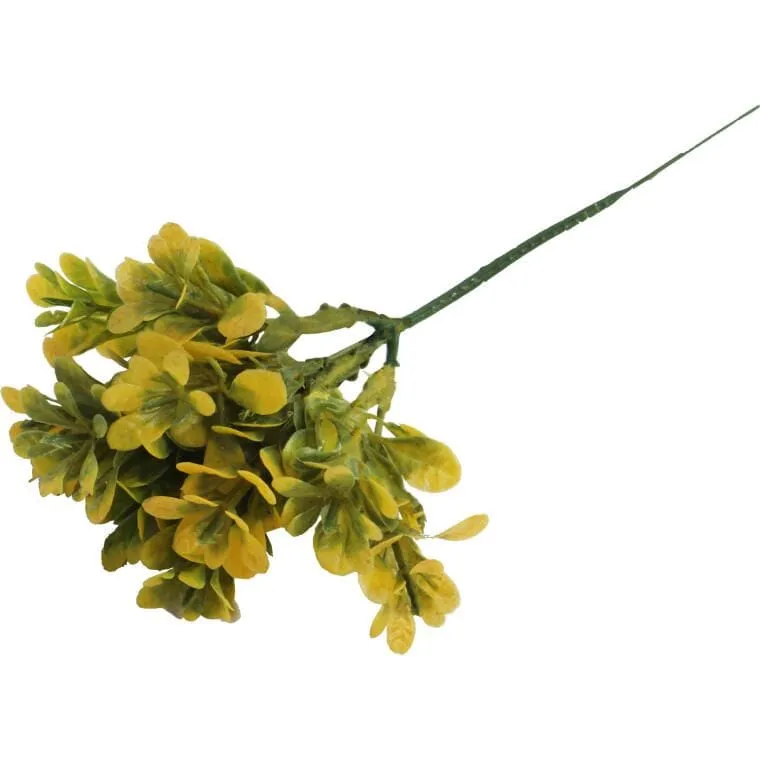 Bukszpan Dekoracyjny Wygląd Naturalny 19 cm - Żółto-Zielony