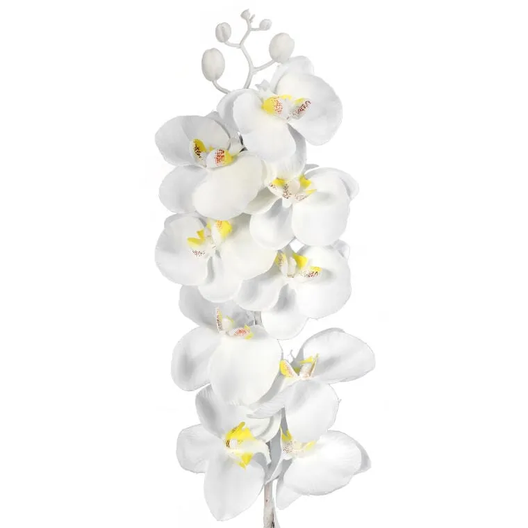 Storczyk Gałązka 95 cm - Biała