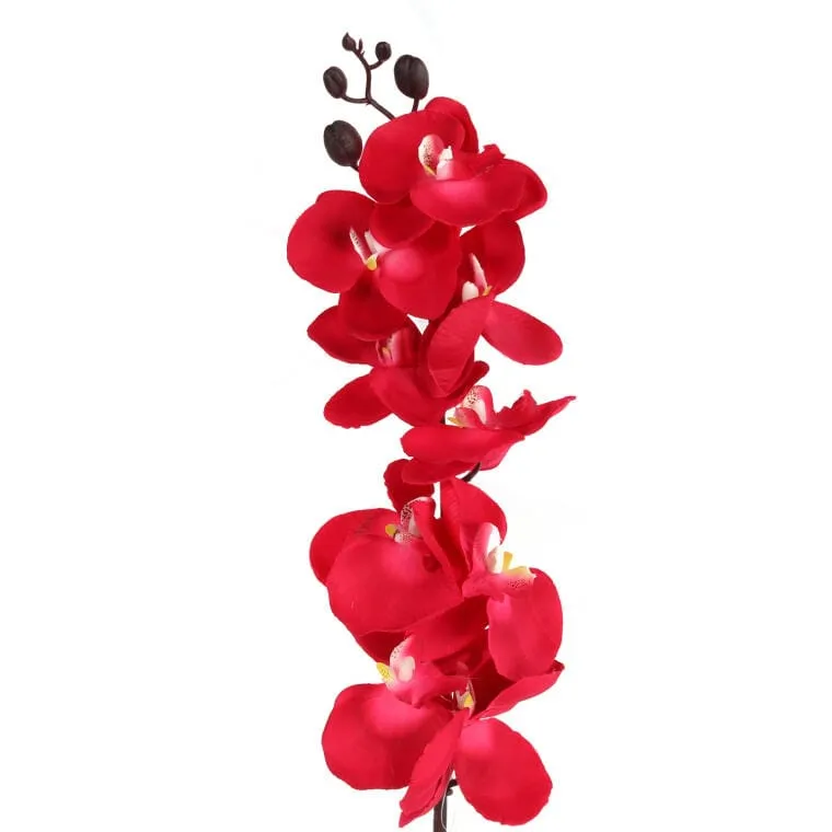 Storczyk Gałązka 95 cm Ciemno - Różowa